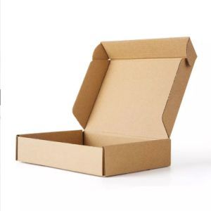 Mailing Custom Printed Apparel Corrugated Shipping Commerce Carton Mailer Gift Candy Chocolate Kraft Pizza Foldable Fruit Cardboard Food Packing Paper Box