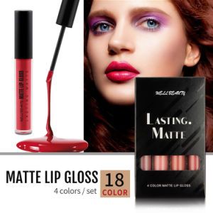Waterproof Base Maquiagem Lip Gloss Makeup Vegan Private Label