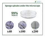 Hydrolyzed Sponge Spongilla Spicules Powder Cosmetic Raw Material