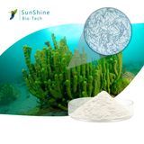 Hydrolyzed Sponge Spongilla Spicules Powder Cosmetic Ingredient