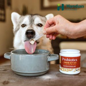 Advanced Max-Strength Vet Formulated Natural Probiotics Powder Organic Certified Probiotics for Dogs and Cats