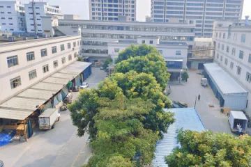 ctb1619gv6tc7398lca0.webp