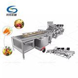 Cabbage Peach Plum Tomato Yam Cleaning Washer Fruit Leaf Root Vegetable High Pressure Air Bubble Cleaning Washing Machine
