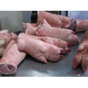 Grade A Fresh Frozen Pork Front Feet and Frozen Pork Hind Fe