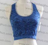 Factory Wholesale Women Sports Bra Fashion Sexy Underwear
