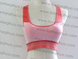 Women′s High Quality Sexy Seamless Sports Bra/Yoga Bra/Gym Bra