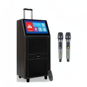 Portable Karaoke Speaker with 15.6 Inch Touch Screen Bluetooth Wireless Party Speaker with 2 Wireless Microphones