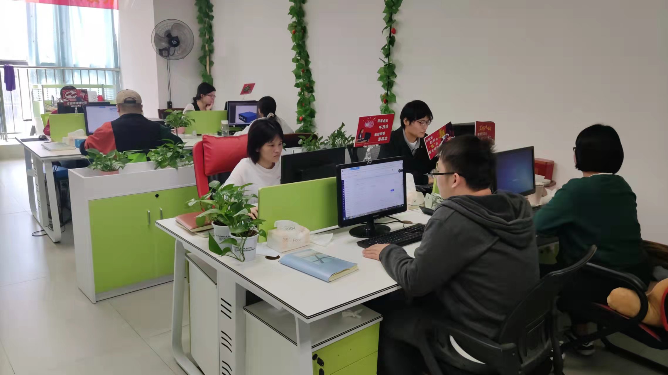 Shenzhen Vapcell Technology Co., Ltd. Battery charger