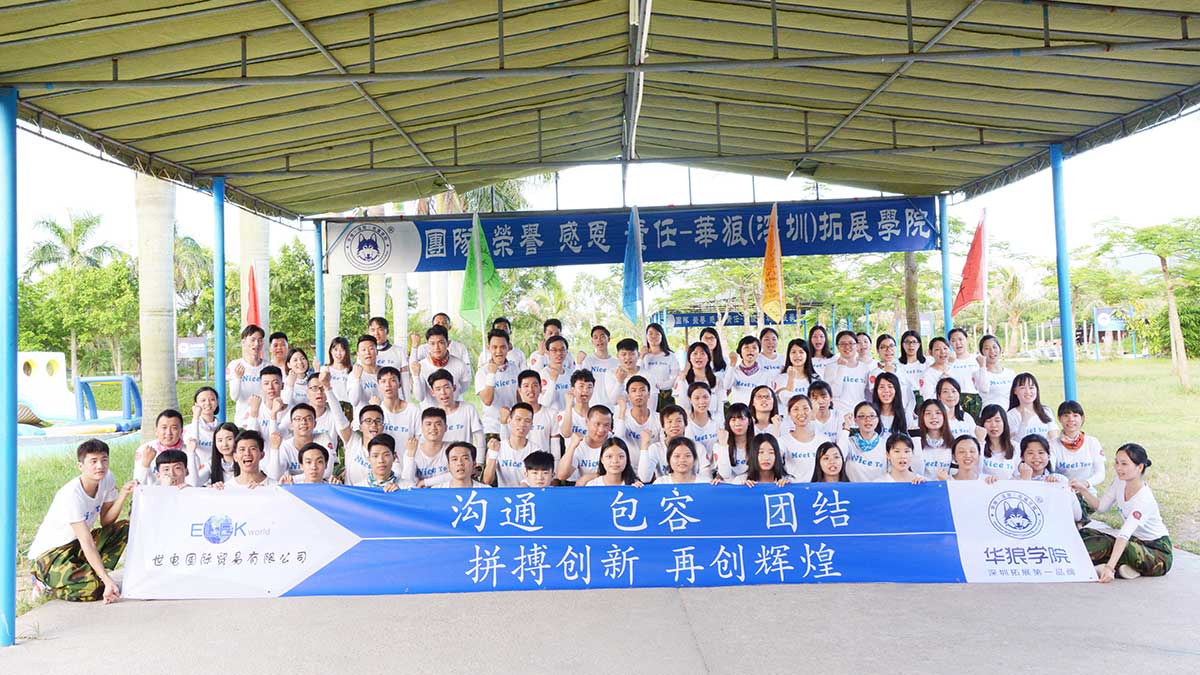 Elekworld Technology Co., Ltd. Mobile Phone Battery
