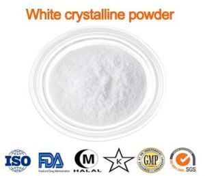 Chinese Supplier Biotin/D-Biotin/Vitamin B7/Vitamin H/Coenzyme R Powder