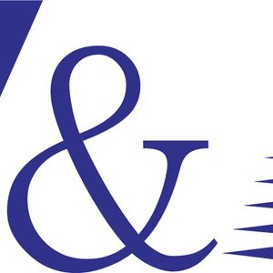 Company icon