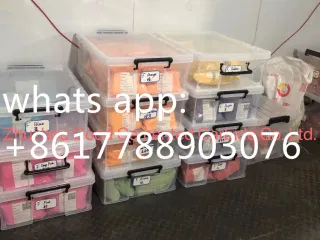 Hunan Purple Star Electromechanical Co., Ltd. Punching Die
