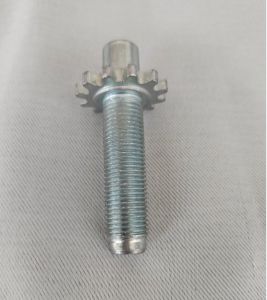Custom Carbon Steel & Stainless Steel Gear Bolts