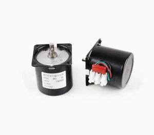 110V 220V AC Reversible Synchronous Motor for Powder Coating Machine
