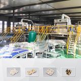 Fully Automatic Paper Pulp Automatic Rotary Cup Carrier Machine