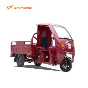 Electric Tricycle Cargo Vehicle 3 Wheel Big Power