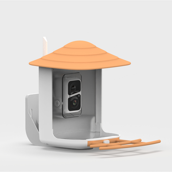 Smart Solar Outdoor Waterproof AI Detect 10,000 Birds Species Squirrel-proof Bird Feeder With Camera