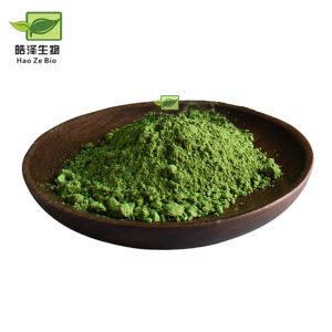 Matcha Green Tea Powder Bulk Japanese Matcha Powder Matcha Powder