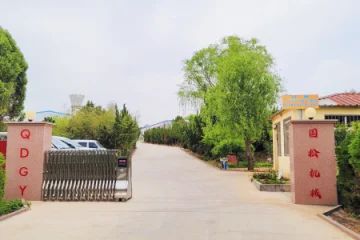 ctb65upgv6tc73996p50.webp