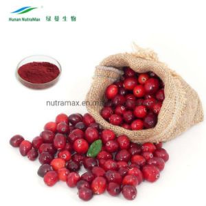 Nutramax Supply 100% Pure Proanthocyanidins 1% Cranberry Fruit Juice Powder Extract