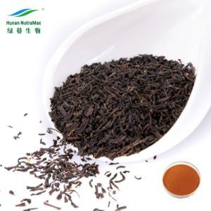 Food Grade Tea Extract Black Tea Extract 20% 30% 40% Theaflavins