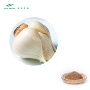 100% Natural Organic Alliin Powder Bulk Ingredient Garlic Extract