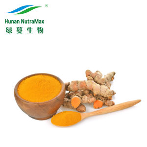 Natural Foods Coloring Turmeric Root Extract with 40% Curcuminoids