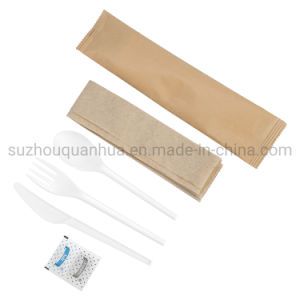 Food Grade Eco-Friendly Flatware Owner Manufacturer Disposable Biodegradable Spoon