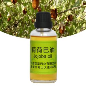Global Exporter of Jojoba Oil Body Moisturizing Lotion Perfum