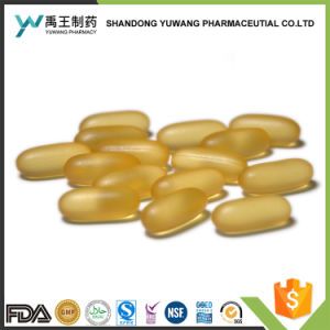 OEM Omega 3 Softgel Fish Oil Softgel Health Supplement