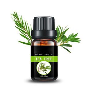Bulk Wholesale Pure Tea Tree Essential Oil