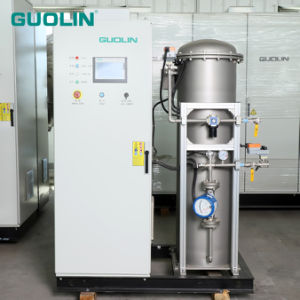 Large Water Disinfector Sewage Ozonizer Ozone Generator Machine Equipment for Aquaculture Salmon Tanks Fish Ponds