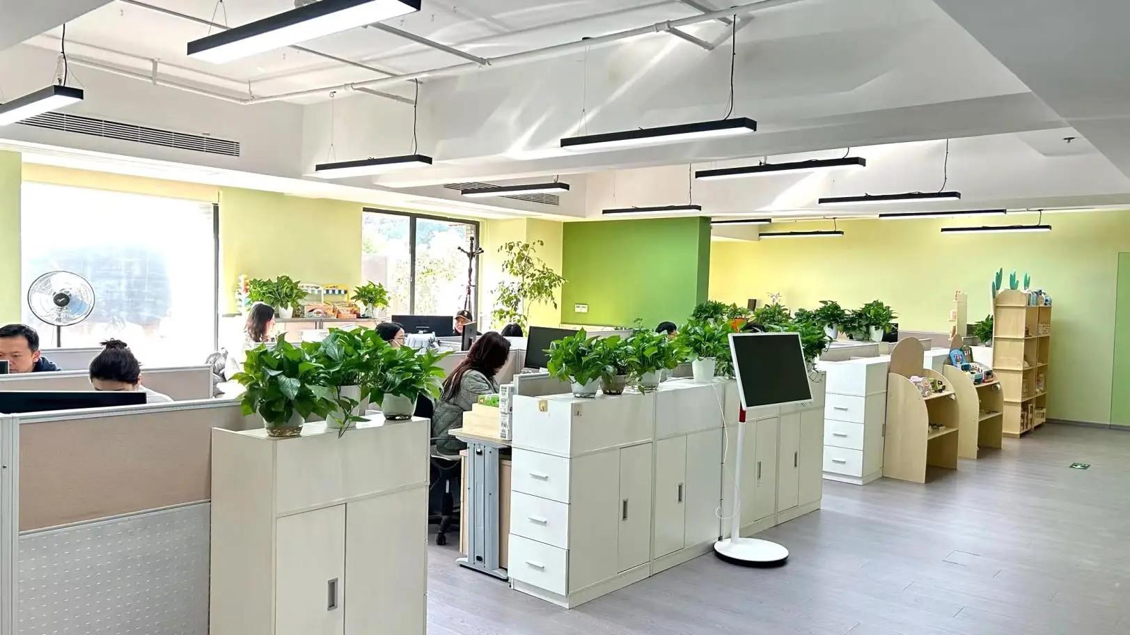 Hangzhou Green Forest Toys & Gifts Co., Ltd. Xylophones