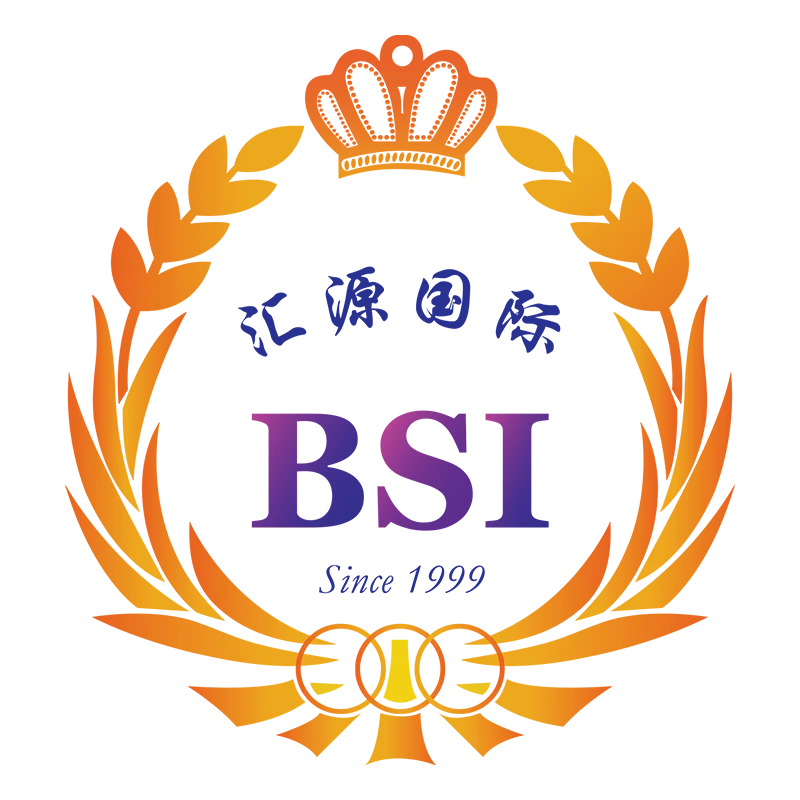 Best Source Global Limited logo
