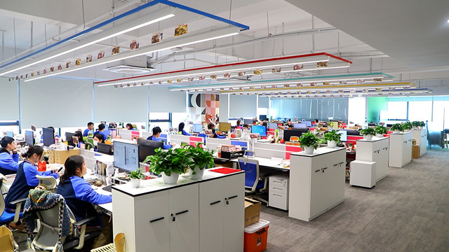 Grandfox Co., Ltd. Pet Toys