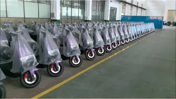 Hunan Lumaxuan Automobile Technology Co., Ltd. Electric Vehicles