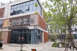 Shandong Haifang International Trade Co., Ltd. Tofu Cat Litter