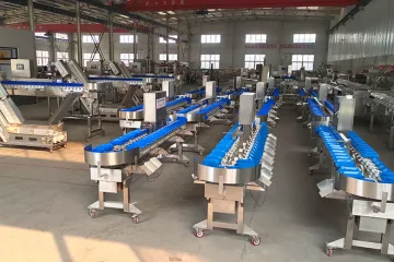 Qingdao Zhuolian Zhisen Intelligent Equipment Co., Ltd. French Fries Production Line