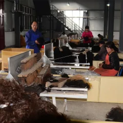FEIBIN FIDES WIGS LTD Human Hair Wigs