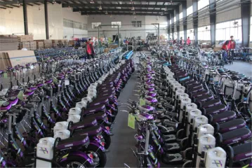 Shandong Jingpin Electric Vehicle Technology Co., Ltd. Electric moped