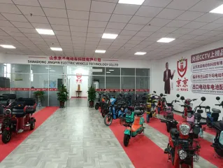 Shandong Jingpin Electric Vehicle Technology Co., Ltd. Electric bicycle