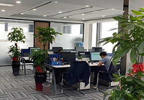 Shandong Ueasy Technology Innovation Co., Ltd. Citycoco Scooter