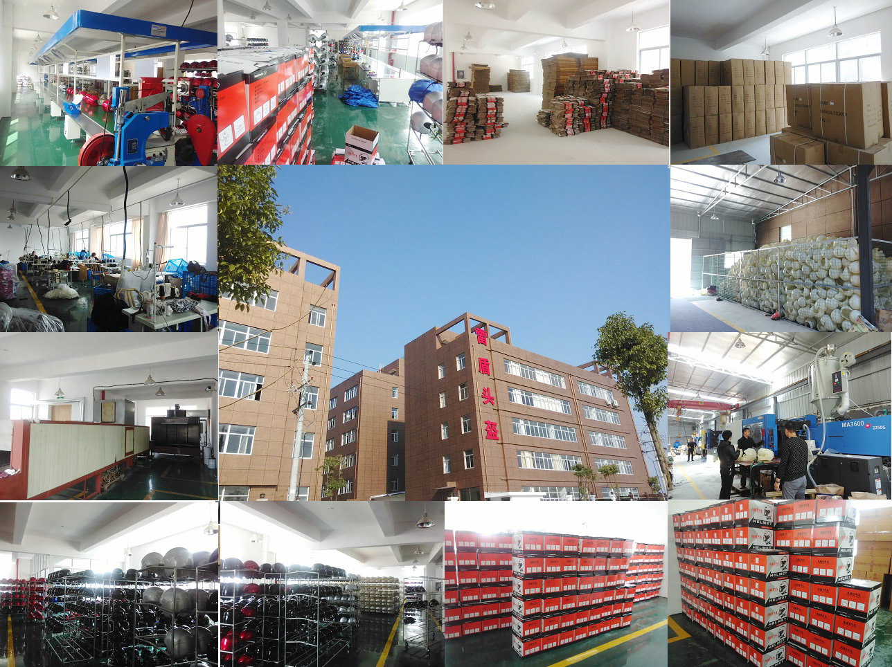 Wenzhou Leiden Helmet Manufacturing Co., Ltd. logo