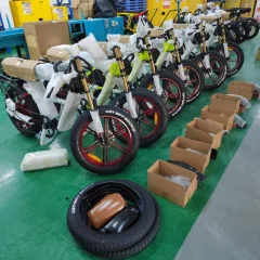 Dongguan Longjie Bicycle Co., Ltd. Fat Tire Electric Bike
