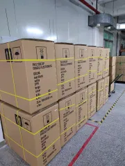 Dongguan Longjie Bicycle Co., Ltd. Electric Bike