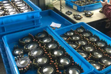 Shengzhou Woyi Electronic Co., Ltd. Subwoofers