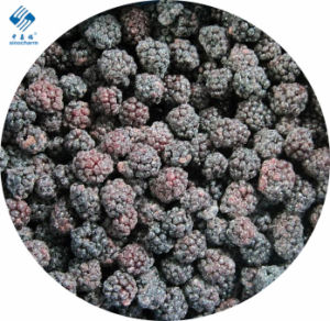 Sinocharm Brc-a Approved Bulk Fresh IQF Frozen Nutrition Blackberry with High Quality