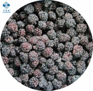 Sinocharm Brc-a Approved Bulk Fresh IQF Frozen Nutrition Blackberry with High Quality