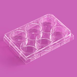 Laboratory Consumables 6well 12well 24well 48well 96well Multi-Well Cell Culture Plate