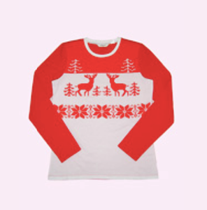 Christmas Reindeer Long Sleeve Top